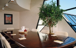 A long oval table with pads, chairs, water & cups arranged for a meeting, against white walls and an artificial tree and "window" viewscreen.